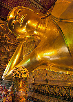 soi cau loto rong bach kim