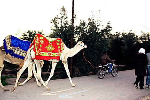 xsmn thu 4 du doan