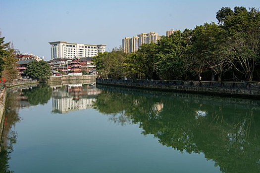 lo de rong vang bach kim
