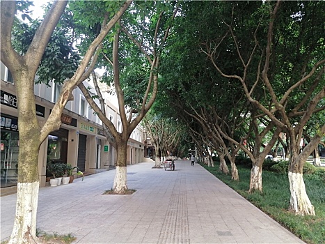 xsmb soi cầu