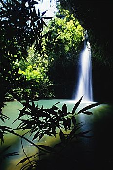 soi cau de bach thu