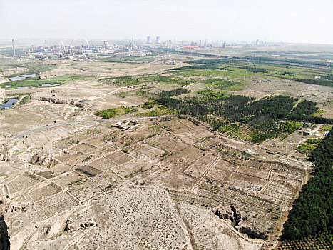 soi cau de bach thu