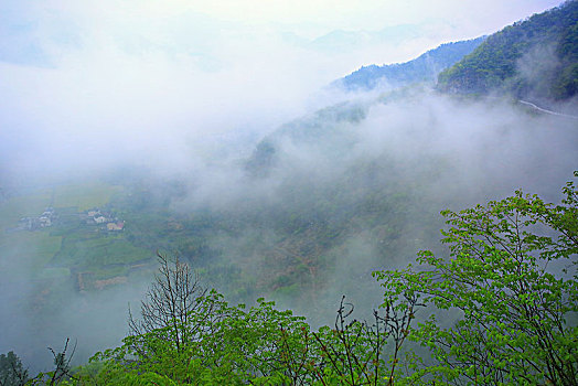 soi cau 96