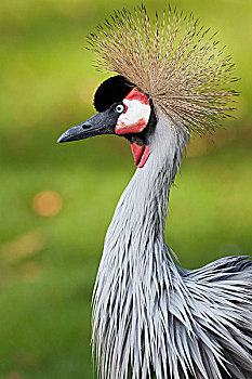 xổ số an giang ba đài