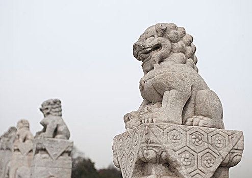 lô đề học