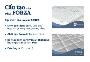 Đệm foam Forza 12cm