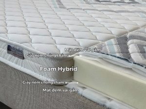 Đệm foam cao cấp Forza