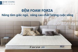 Đệm Foam Forza – Nâng Tầm Giấc Ngủ, Nâng Cao Chất Lượng Cuộc Sống Của Bạn