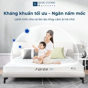 Đệm Foam Forza kháng khuẩn tối ưu