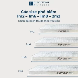 Đệm Foam Forza đầy đủ các size phổ biến