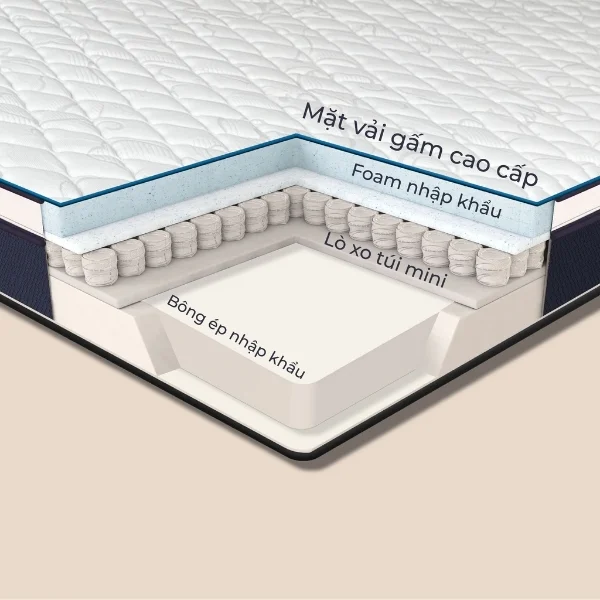 Đệm lò xo túi độc lập Boston gồm tấm bông ép, lò xo túi mini, foam và bề mặt vải gấm