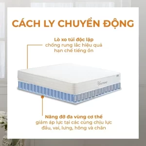 Đệm lò xo túi độc lập Foursea chống rung lắc hiệu quả hạn chế tiếng ồn, nâng đỡ 7 vùng cơ thể