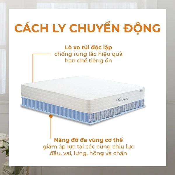 Đệm lò xo túi độc lập Foursea chống rung lắc hiệu quả hạn chế tiếng ồn, nâng đỡ 7 vùng cơ thể