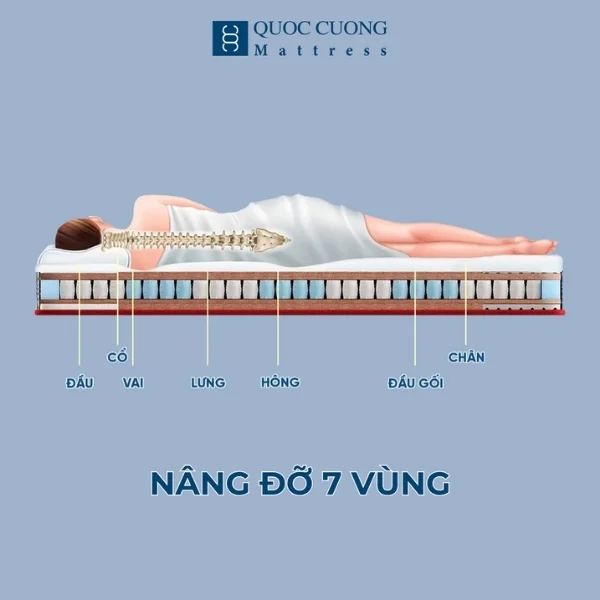 Đệm lò xo túi độc lập US-Life nâng đỡ từng vùng cơ thể