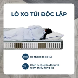 Kết cấu Đệm lò xo túi độc lập US-Life