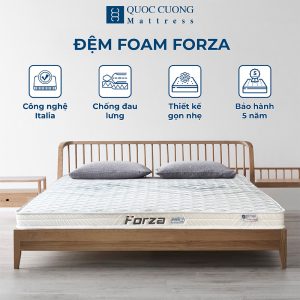 Đệm Foam Forza 12cm