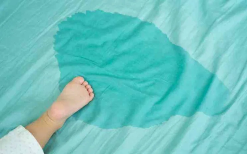 Mẹo phòng tránh mùi khai nước tiểu bám vào nệm