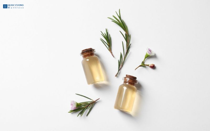 Khử mùi nệm bông ép bằng tinh dầu thiên nhiên