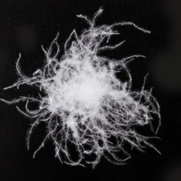 Ruột chăn lông vũ