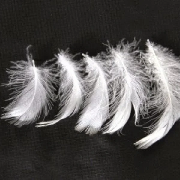 Ruột chăn lông vũ được làm từ lông vũ tự nhiên tinh tuyển