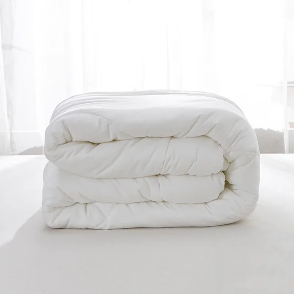 Ruột chăn lông vũ