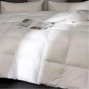 Ruột chăn Microfiber An toàn tuyệt đối cho sức khỏe người dùng