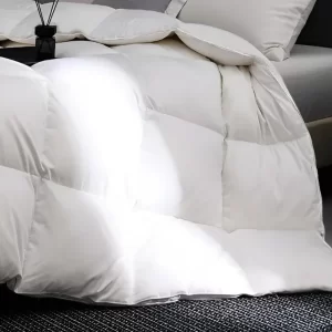 Ruột chăn Microfiber giúp ngăn ngừa vi khuẩn và nấm mốc