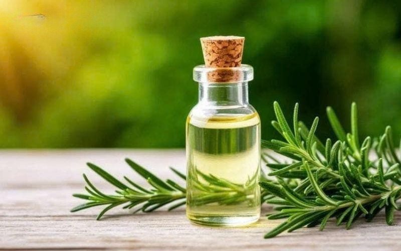 Cách tẩy vỏ gối bị mốc bằng giấm