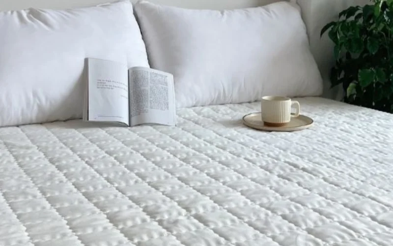 Cách xử lý vết nôn và mùi nôn trên đệm