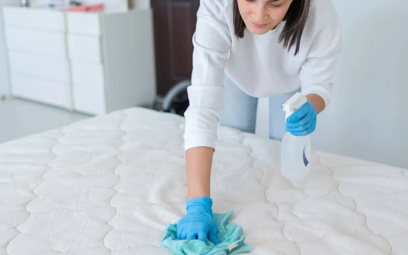 Vệ sinh nệm định kỳ
