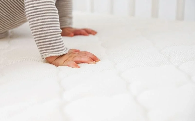 Kích thước và độ dày phù hợp