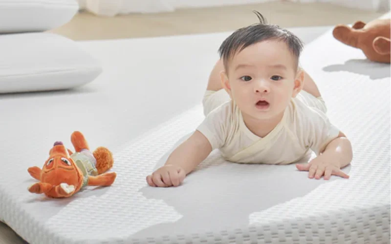 Độ cứng và độ đàn hồi phù hợp