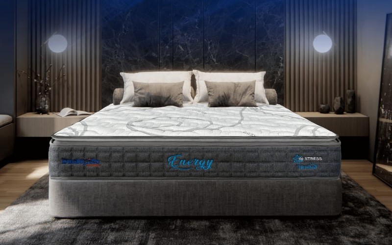 Thương hiệu Dunlopillo