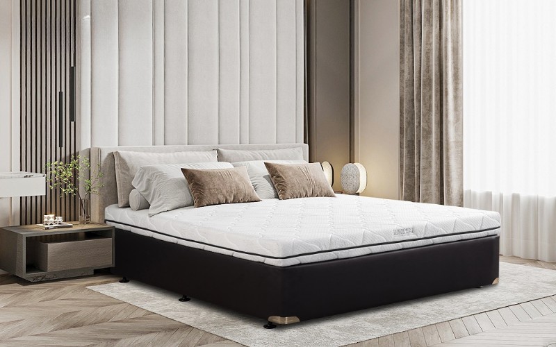 Thương hiệu Zinus