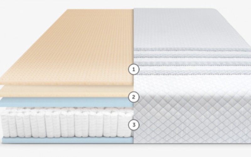 Nên mua nệm foam hay nệm cao su