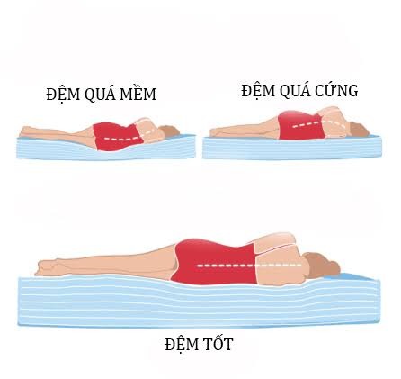 Nên Nằm Nệm Cứng Hay Mềm